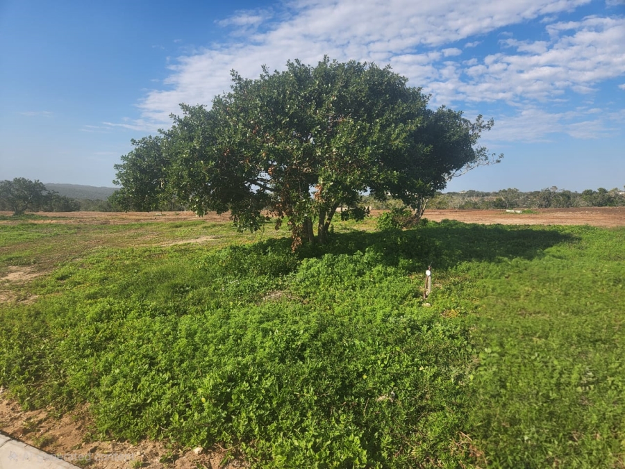 0 Bedroom Property for Sale in Stilbaai Wes Western Cape
